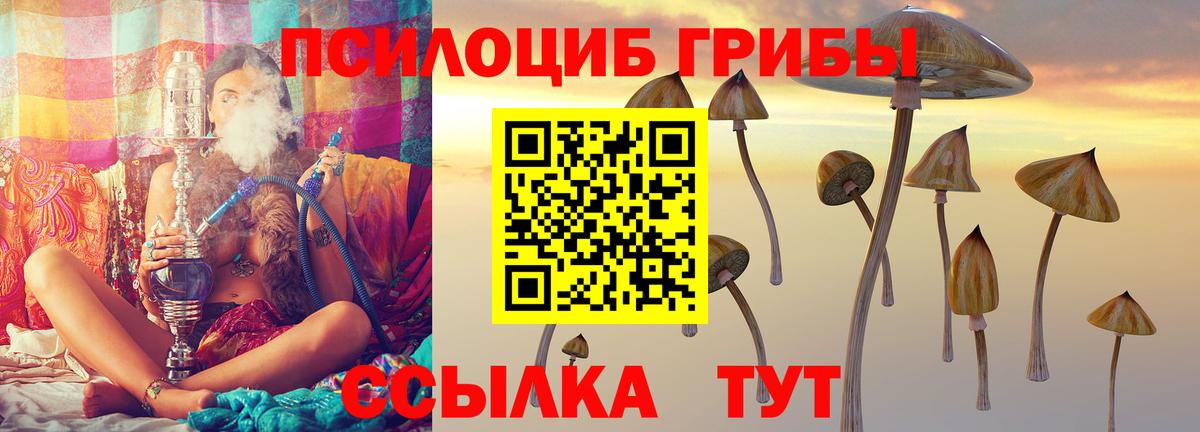 Реутов  Галлюциногенные грибы ЛСД  Вход с VPN 